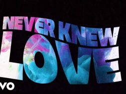 Charles Jenkins & Fellowship Chicago – Never Knew Love (Lyric Video)